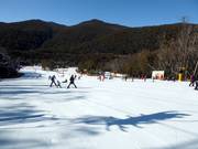 Tip voor de kleintjes 