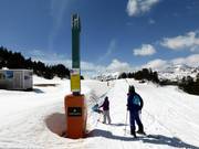 Gall de Bosc - Sleeplift/babyllift