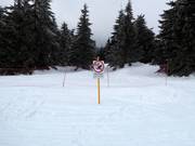 Bossen mogen niet worden betreden.