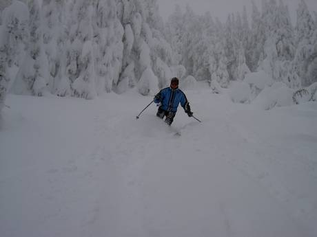 Pisteaanbod Cascade Range – Pisteaanbod Mt. Bachelor