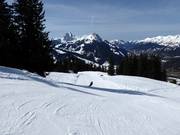 Mike von Grünigen Run in Schönried