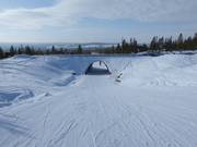 Piste Derningssaga Nr. 6