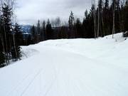 Gemakkelijke piste The Last Spike