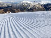 Verse ribbels in de sneeuw