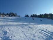 Skipiste bij de Mehliskopf