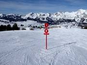 Pistebewegwijzering in Wildhaus