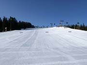 Onderste deel piste Nößlachjoch