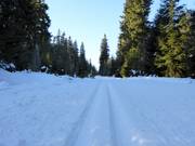 Langlaufloipe in het skigebied Černá hora