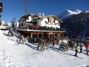 Taps Coyote (St. Anton)