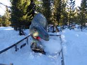 Tip voor de kleintjes  - Avonturenparcours: Dinowald