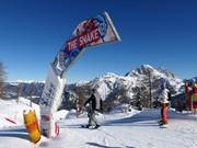 Tip voor de kleintjes  - The Snake