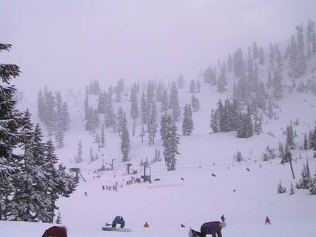 Pisteaanbod North Cascades – Pisteaanbod Mt. Baker