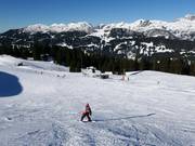 Oefenpiste met sleeplift Kapell