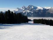 Brede afdaling in Les Carroz