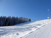 Steilere piste bij de Kißlingerlift