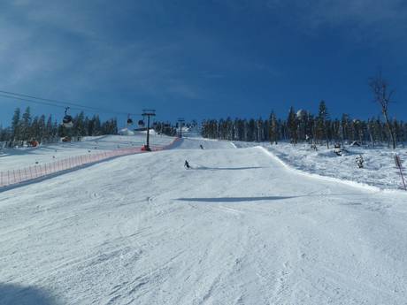 Skigebieden voor gevorderden en off-piste skiërs Duitse Middelgebergte – Gevorderden, off-piste skiërs Arber