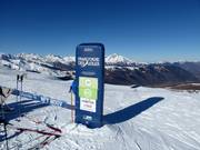 Tip voor de kleintjes 