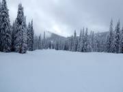 Zeer eenvoudige piste in het Red Mountain Resort