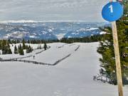 Blauwe buitenste familieloop bij de Zirbenliften