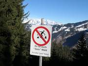 Het is ook "jouw" bos