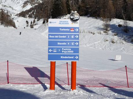 Ortler Alpen: oriëntatie in skigebieden – Oriëntatie Pejo 3000