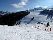 Uitzicht op de brede pistes bij het Mittlere Sudelfeld