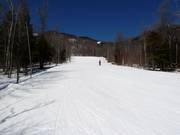 Brede bosbaan-afdaling