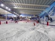 Uitzicht op de hoofdafdaling in het onderste gedeelte