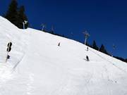 Mooi steil - piste 12 "Devil's Run" op de Horberg