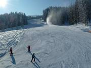 Afdaling bij de Einhornbahn II