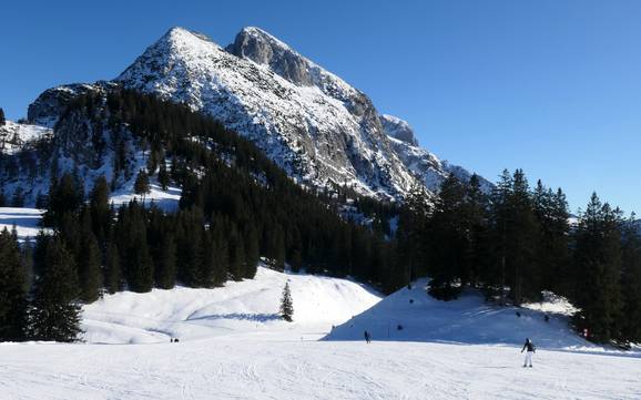 Beste skigebied in het Dachsteingebergte – Beoordeling Dachstein West – Gosau/Russbach/Annaberg