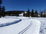 Langlaufloipe op de Hochrindl