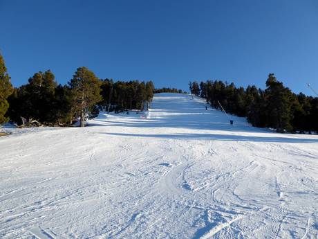 Skigebieden voor gevorderden en off-piste skiërs Catalonië – Gevorderden, off-piste skiërs La Molina/Masella – Alp2500