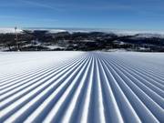 Vers geprepareerde piste in Tandådalen