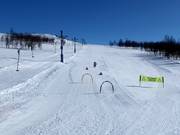 Tip voor de kleintjes 