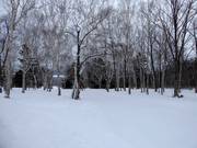 Zeer gemakkelijke bosafdalingen bij de vierpersoonsstoeltjeslift High Speed Lift 1