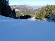 Piste nr. 11 naar Záhradky