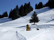 Krachtige sneeuwkanon en sneeuwlans