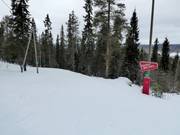 Zeer gemakkelijk sleepad in het skigebied Ounasvaara