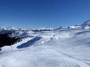 Zicht op de Kalcheralm