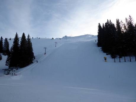 Skigebieden voor gevorderden en off-piste skiërs Servische Republiek – Gevorderden, off-piste skiërs Jahorina