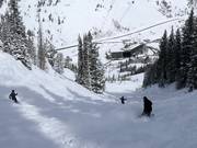 Steile piste in de Peruvian Gulch