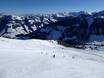 Skigebieden voor gevorderden en off-piste skiërs Kufstein – Gevorderden, off-piste skiërs Ski Juwel Alpbachtal Wildschönau