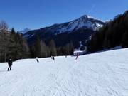 Gemakkelijke piste Rientro in Arabba