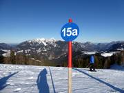 Piste-markering in het skigebied Loferer Alm