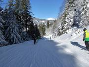 Dalafdaling naar Schruns