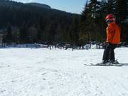 Plezier in de sneeuw