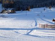 Makkelijke piste bij de babylift