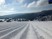 Geprepareerde Zeigerafdalingen