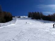 Zwarte piste Grünboden